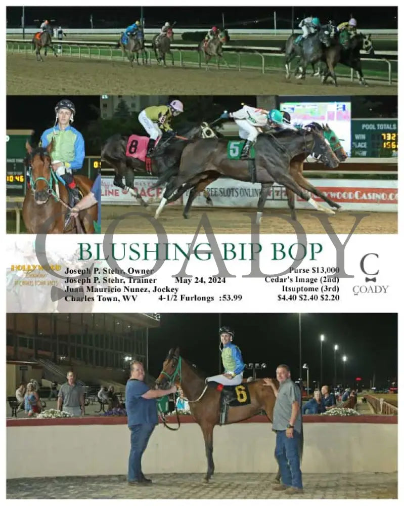 Blushing Bip Bop - 05-24-24 R08 Ct Hollywood Casino At Charles Town Races