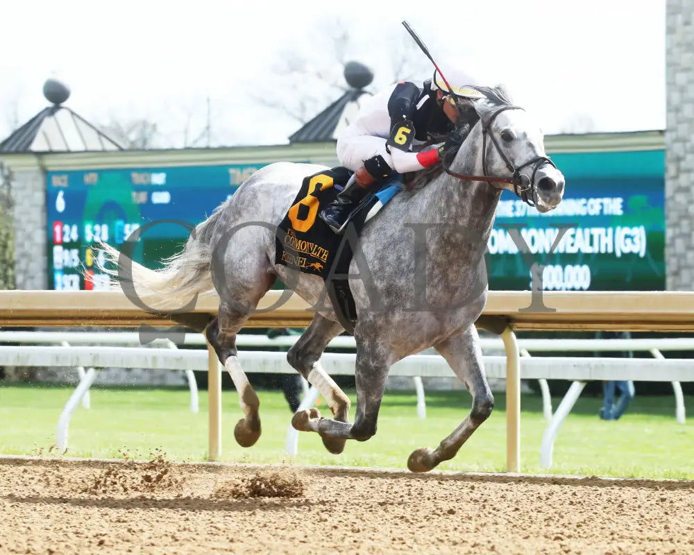 Bo Cruz - The Commonwealth G3 04 - 06 - 24 R06 Kee Finish 02 Keeneland