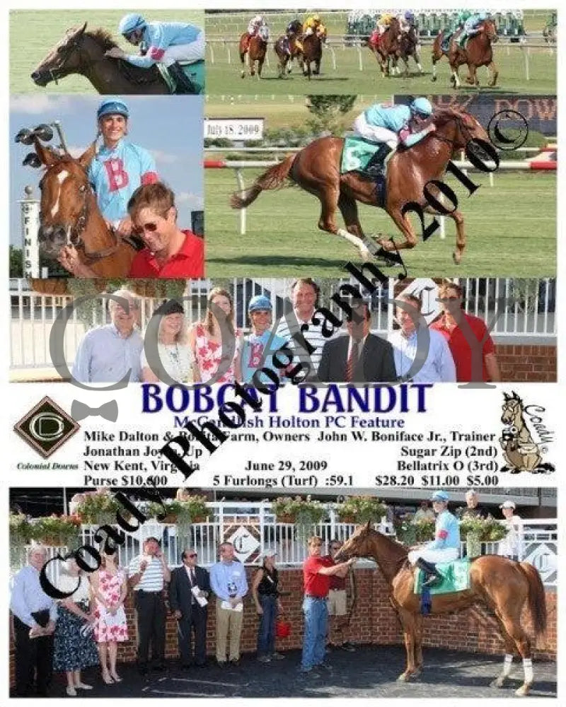 Bobcat Bandit - Mccandlish Holton Pc Feature Colonial Downs