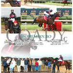 Bohemian Bo - 01-06-24 R04 Op Oaklawn Park