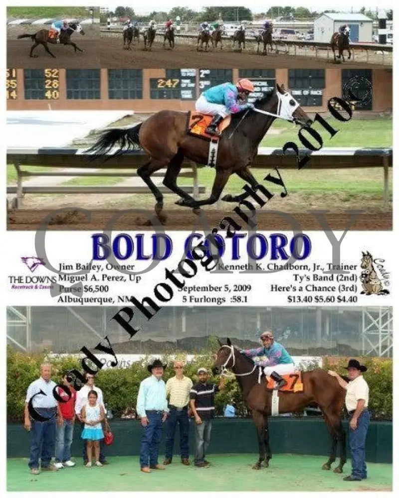Bold Cotoro - 9 5 2009 Downs At Albuquerque
