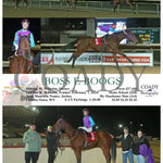 Boss E Boogs - 02-07-24 R06 Ct Hollywood Casino At Charles Town Races