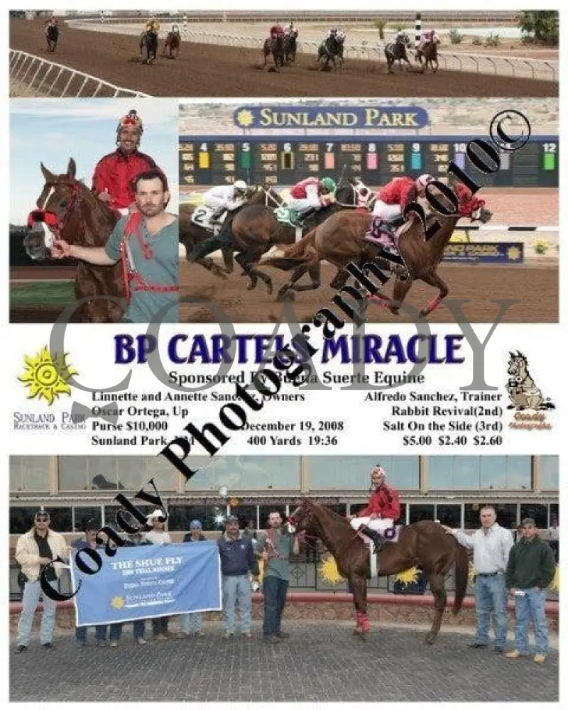 Bp Cartels Miracle - Sponsored By Buena Suerte E Sunland Park