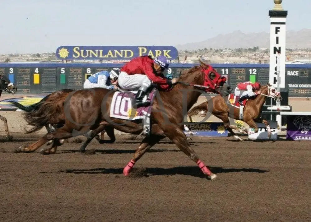 Bp Shes Southern - The Nmhba Quater Horse Stakes Sunland Park