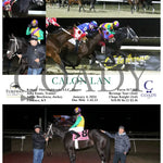 Calon Lan - 01-04-24 R06 Tp Turfway Park