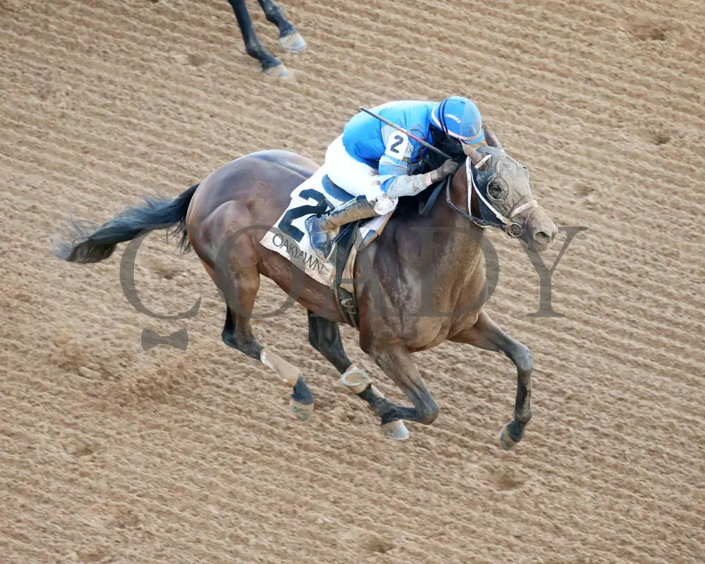 Catching Freedom - The Smarty Jones 17Th Running 01-01-24 R09 Op Aerial Finish 01 Oaklawn Park