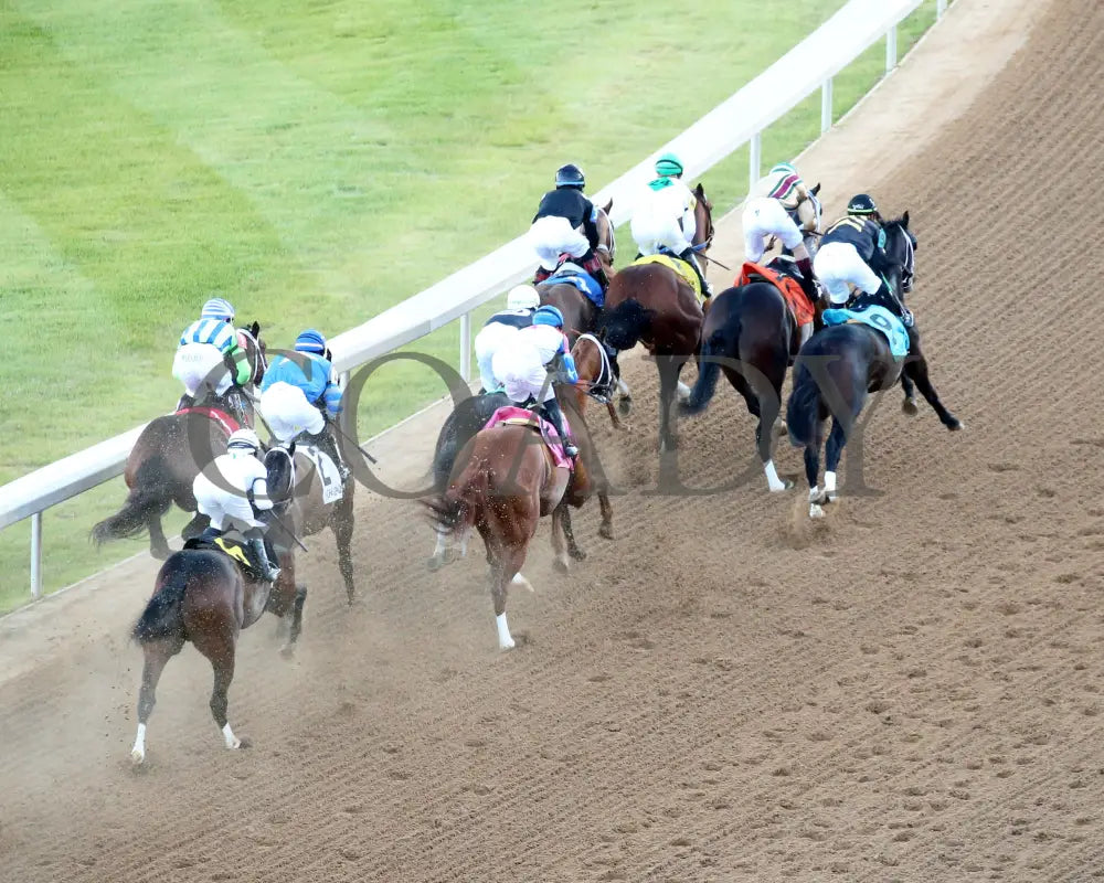 Catching Freedom - The Smarty Jones 17Th Running 01-01-24 R09 Op Aerial First Turn 01 Oaklawn Park