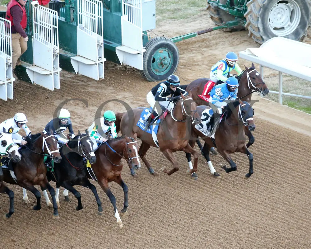 Catching Freedom - The Smarty Jones 17Th Running 01-01-24 R09 Op Aerial Start 01 Oaklawn Park