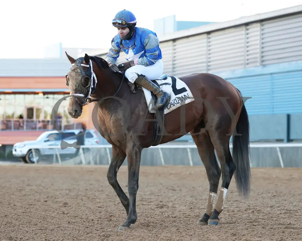 Catching Freedom - The Smarty Jones 17Th Running 01-01-24 R09 Op Come Back 02 Oaklawn Park