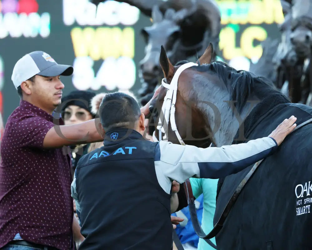 Catching Freedom - The Smarty Jones 17Th Running 01-01-24 R09 Op Come Back 01 Oaklawn Park