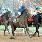 Catching Freedom - The Smarty Jones 17Th Running 01-01-24 R09 Op Finish 02 Oaklawn Park