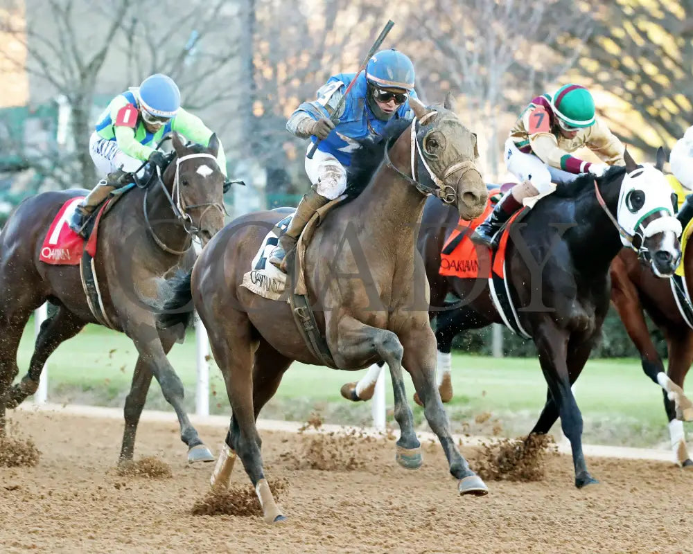 Catching Freedom - The Smarty Jones 17Th Running 01-01-24 R09 Op Finish 02 Oaklawn Park