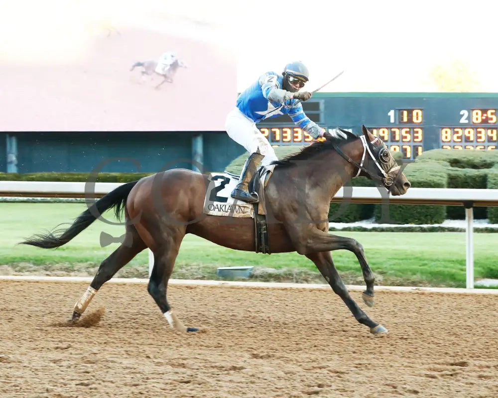 Catching Freedom - The Smarty Jones 17Th Running 01-01-24 R09 Op Finish 01 Oaklawn Park