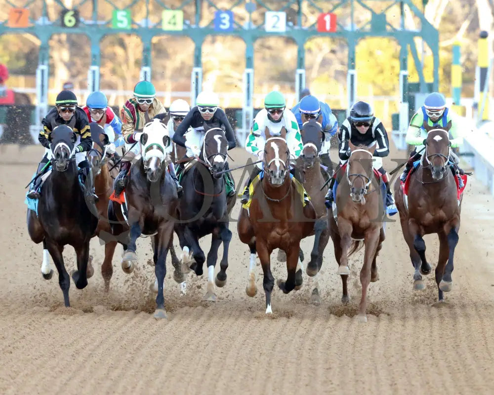 Catching Freedom - The Smarty Jones 17Th Running 01-01-24 R09 Op First Turn 01 Oaklawn Park