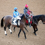 Catching Freedom - The Smarty Jones 17Th Running 01-01-24 R09 Op Post Parade 02 Oaklawn Park