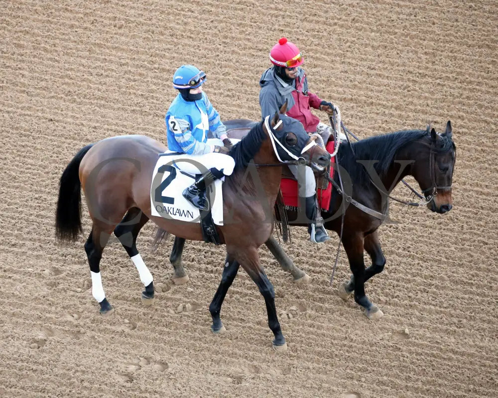 Catching Freedom - The Smarty Jones 17Th Running 01-01-24 R09 Op Post Parade 02 Oaklawn Park