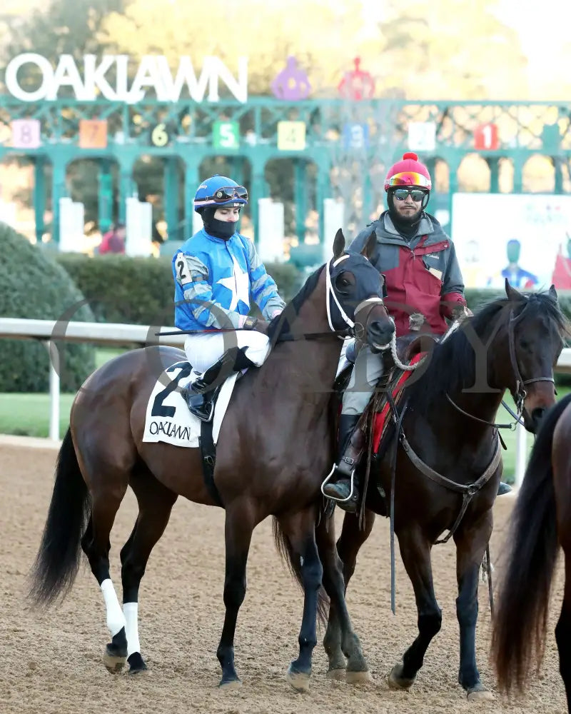 Catching Freedom - The Smarty Jones 17Th Running 01-01-24 R09 Op Post Parade 01 Oaklawn Park