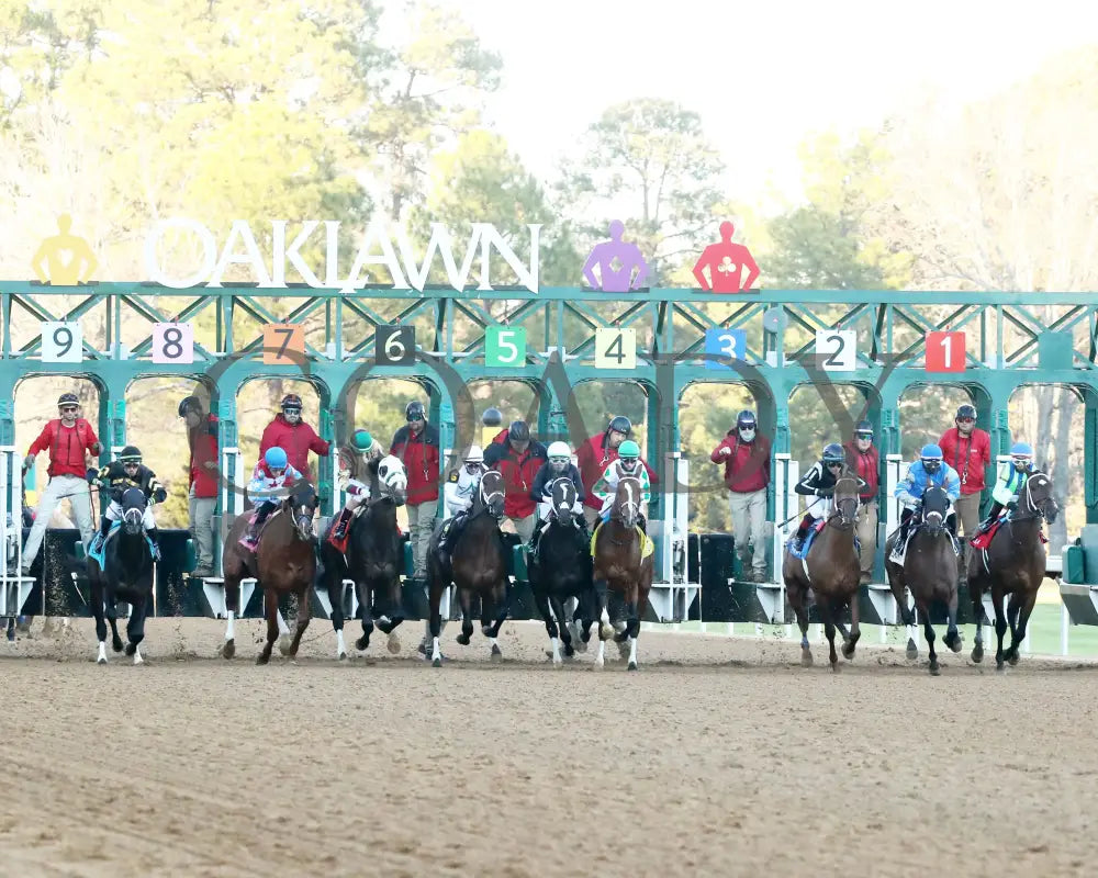 Catching Freedom - The Smarty Jones 17Th Running 01-01-24 R09 Op Start 02 Oaklawn Park