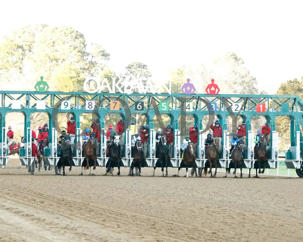 Catching Freedom - The Smarty Jones 17Th Running 01-01-24 R09 Op Start 01 Oaklawn Park