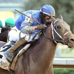 Catching Freedom - The Smarty Jones 17Th Running 01-01-24 R09 Op Tight Finish 01 Oaklawn Park