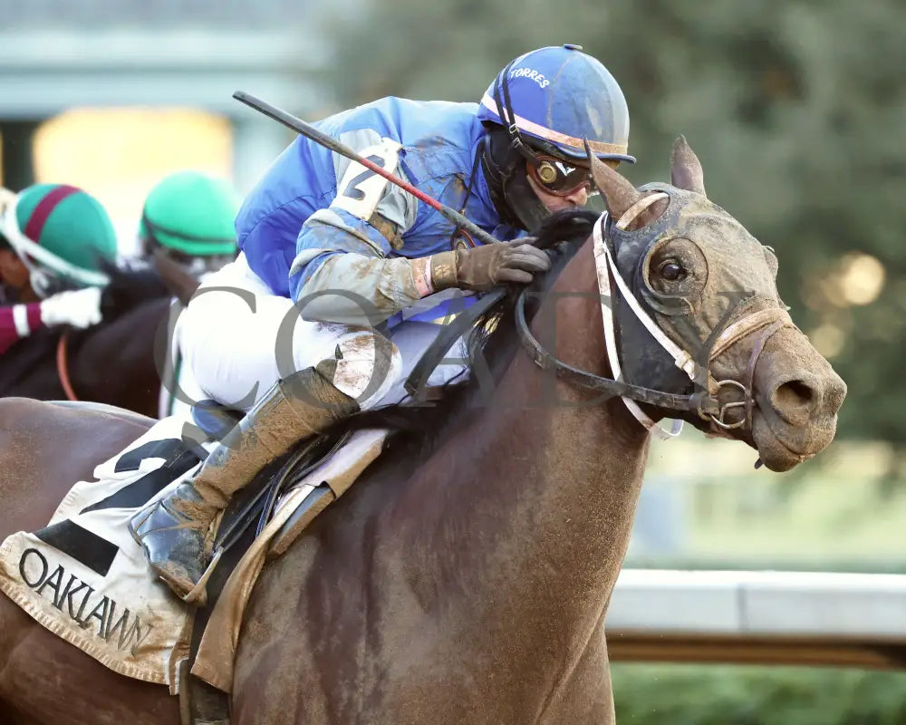 Catching Freedom - The Smarty Jones 17Th Running 01-01-24 R09 Op Tight Finish 01 Oaklawn Park