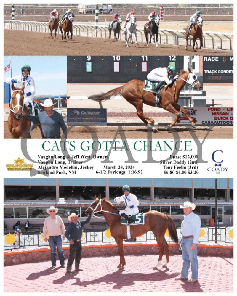 Cats Gotta Chance - 03 - 28 - 24 R06 Sun Sunland Park