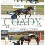 Caviart Delight - Kentucky Sire Stakes Leg 2 10-28-24 R08 Clr Cumberland Run