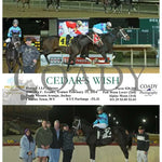 Cedar’s Wish - 02 - 15 - 24 R04 Ct Hollywood Casino At Charles Town Races