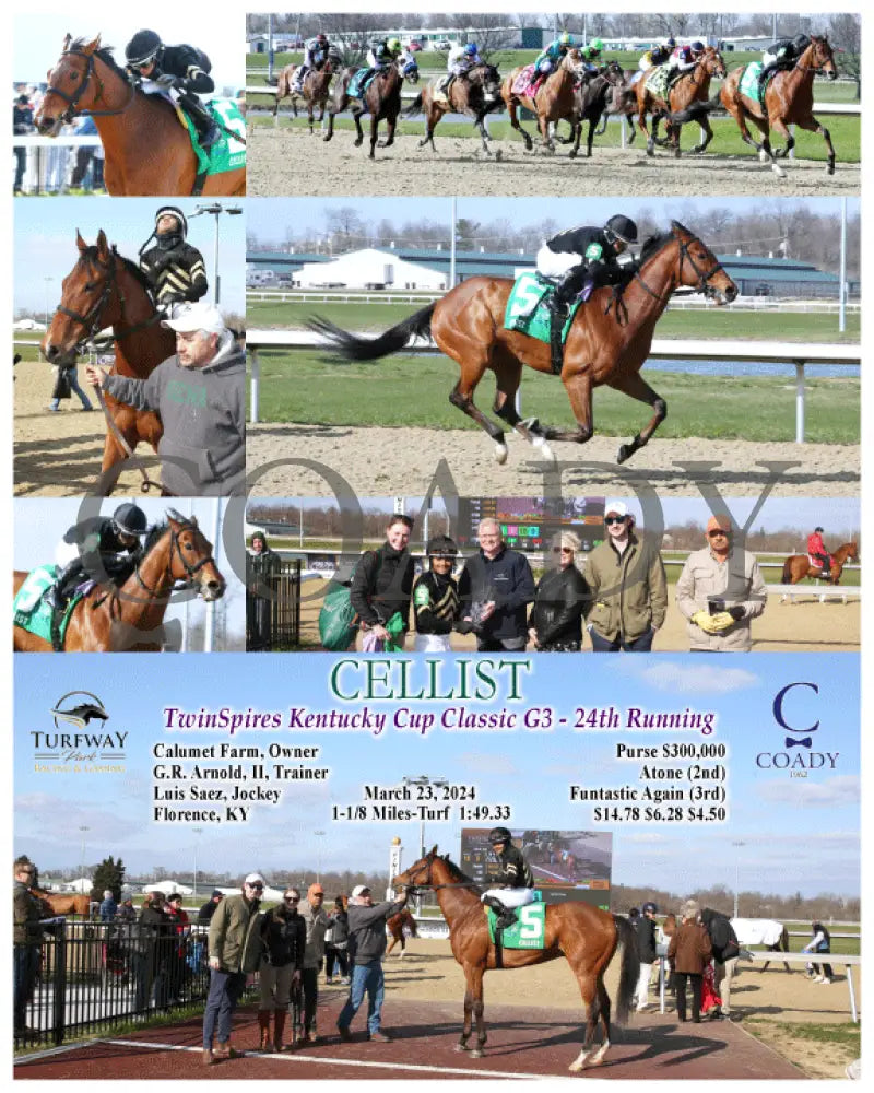 Cellist - Twinspires Kentucky Cup Classic G3 24Th Running 03 - 23 - 24 R10 Tp Turfway Park