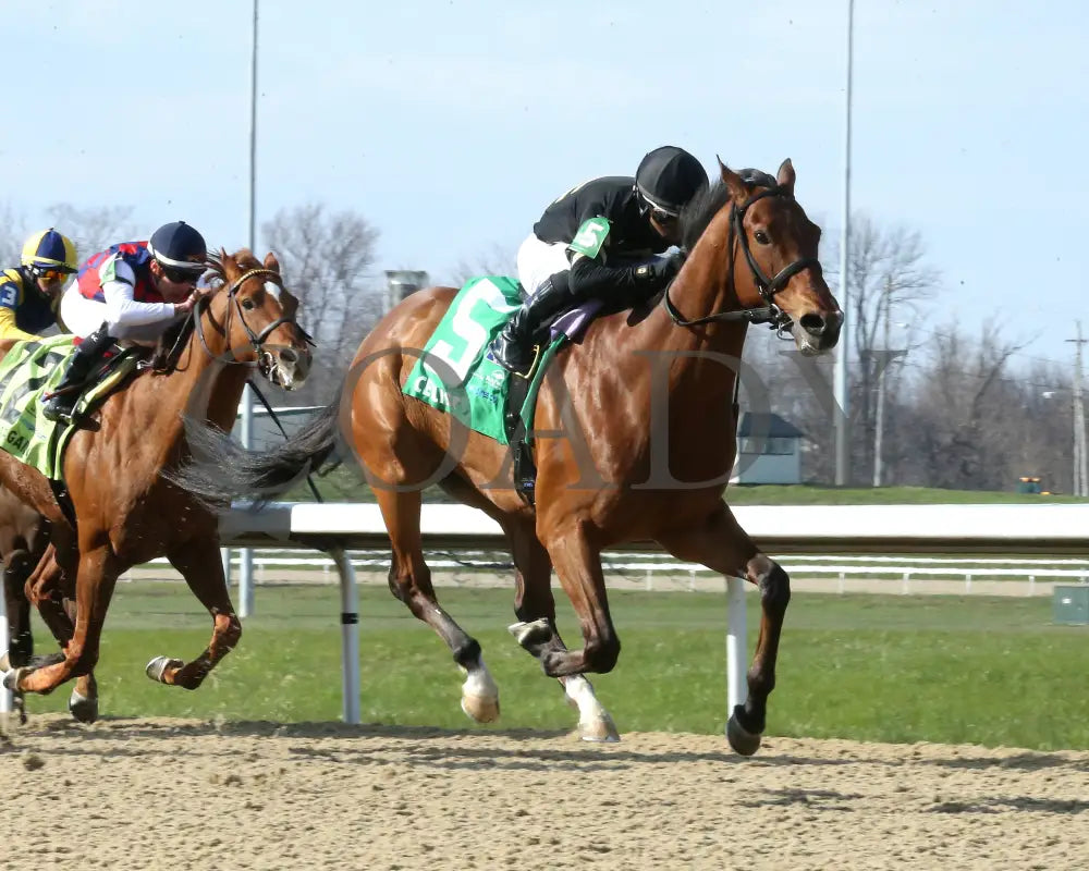 Cellist - Twinspires Kentucky Cup Classic G3 24Th Running 03 - 23 - 24 R10 Turfway Park Finish 02