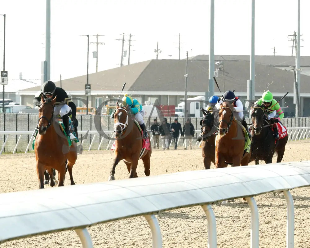 Cellist - Twinspires Kentucky Cup Classic G3 24Th Running 03 - 23 - 24 R10 Turfway Park Inside