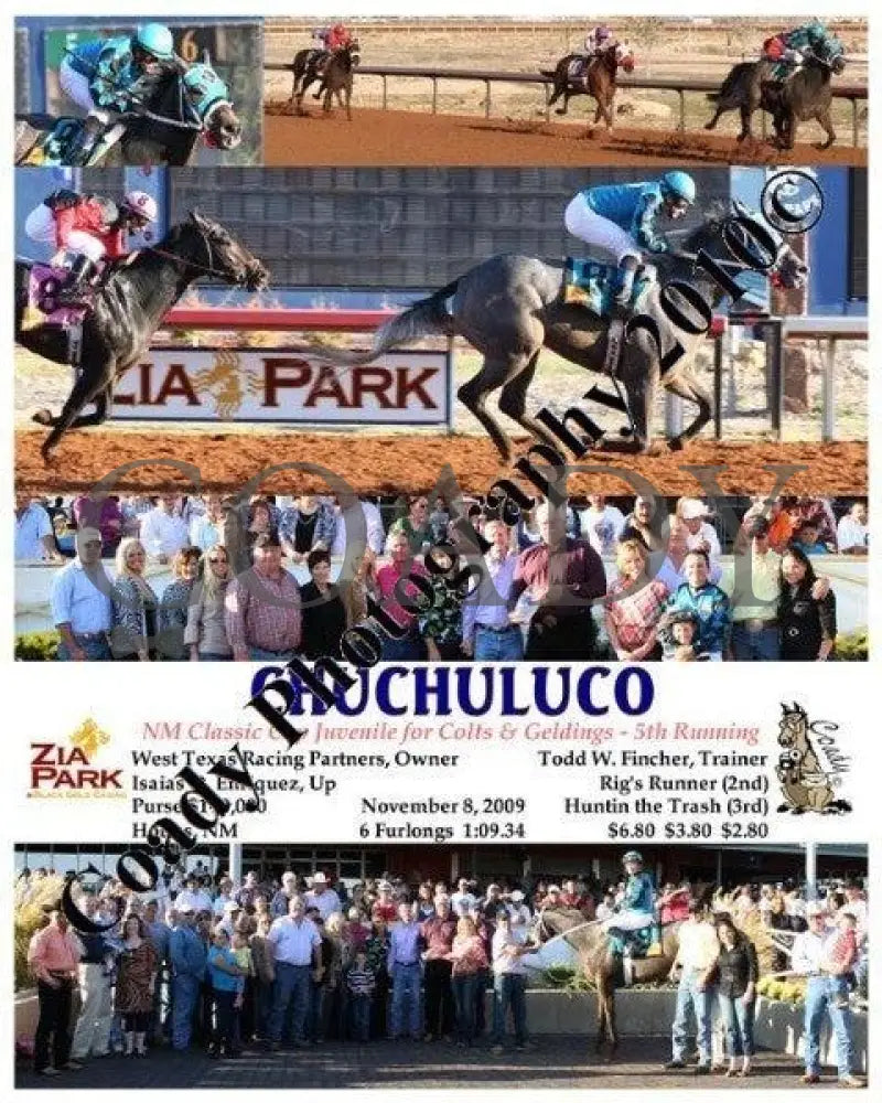 Chuchuluco - New Mexico Classic Cup Juvenile For Zia Park