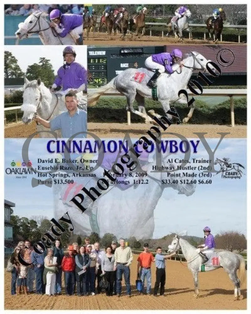 Cinnamon Cowboy - 2 8 2009 Oaklawn Park