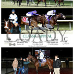 Classic Appeal - 12-18-24 R06 Tp Turfway Park