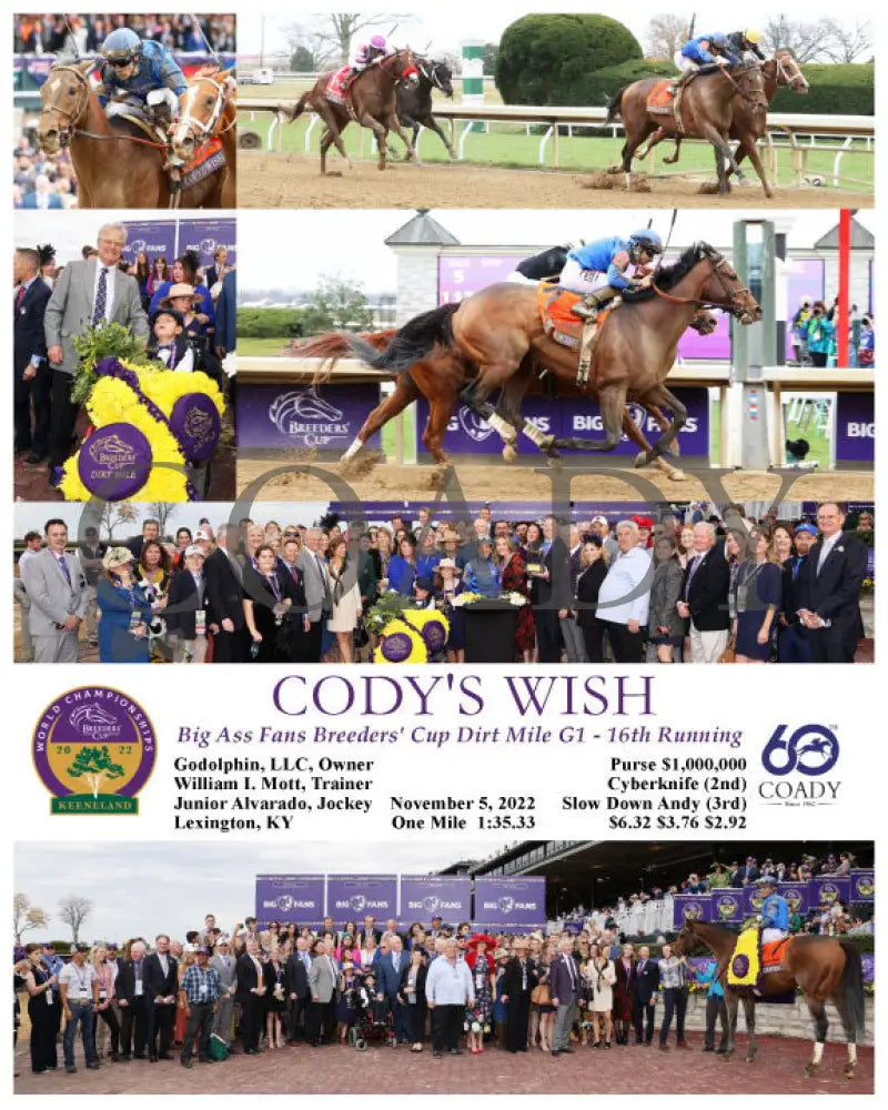 Cody’s Wish - Big Ass Fans Breeders’ Cup Dirt Mile G1 16Th Running 11-05-22 R05 Kee A1 Keeneland