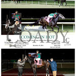 Coming In Hot - 12-18-24 R07 Tp Turfway Park