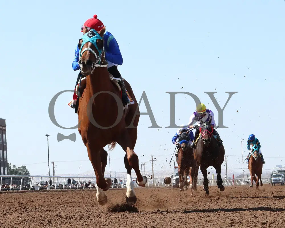 Community Leader - The 21St Running Of Red Hedeman Mile 02-18-24 R03 Sunland Park Under Rail