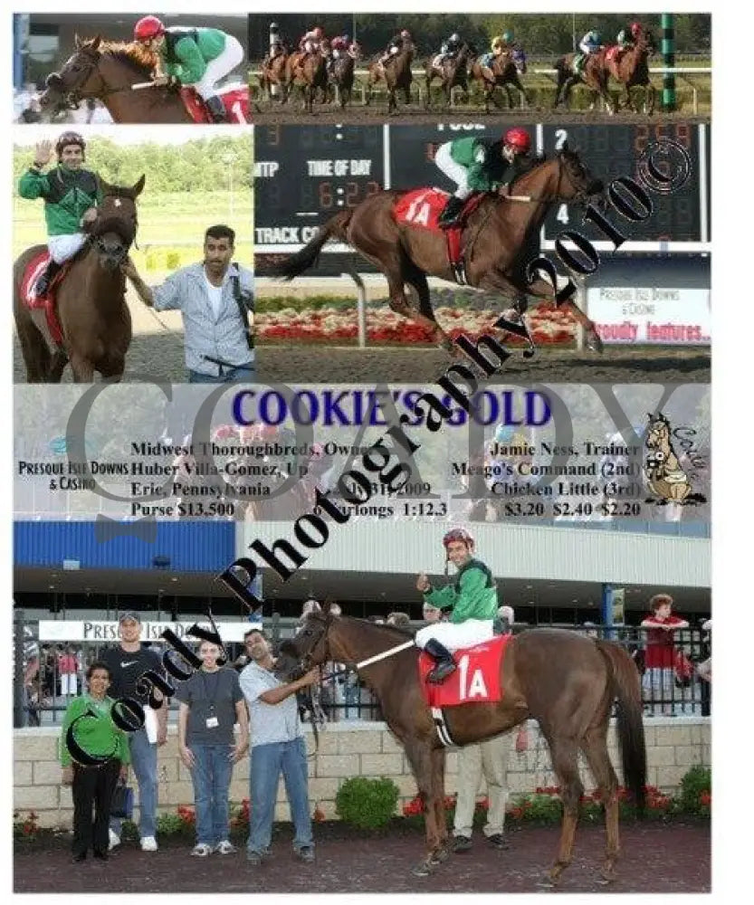 Cookie S Gold - 7 31 2009 Presque Isle Downs