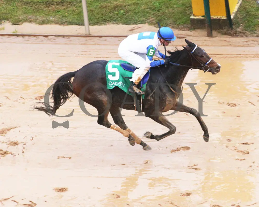 Corningstone - Mistletoe Stakes 12-14-24 R09 Op Ariel 01 Oaklawn Park