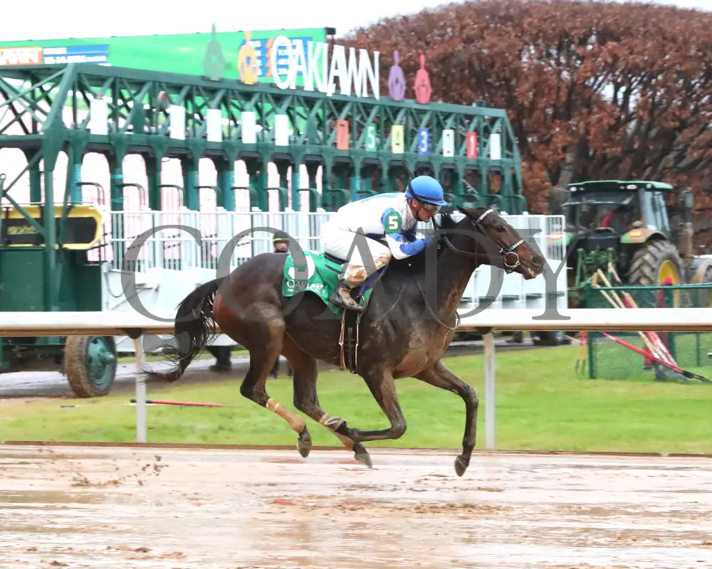 Corningstone - Mistletoe Stakes 12-14-24 R09 Op Finish 01 Oaklawn Park