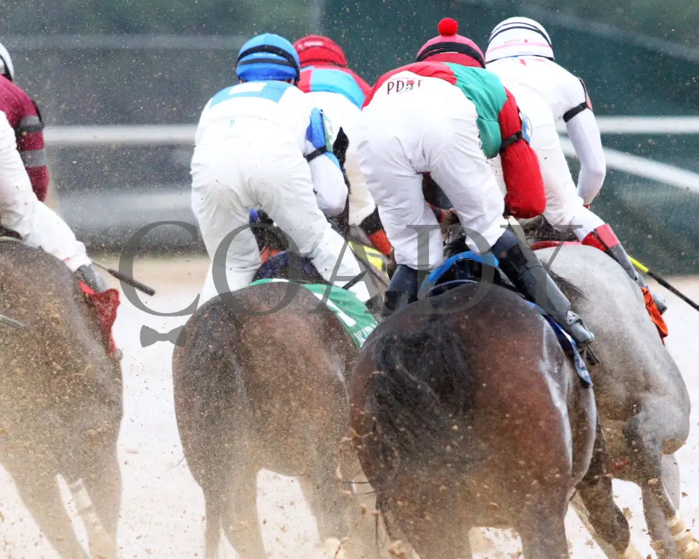 Corningstone - Mistletoe Stakes 12-14-24 R09 Op First Turn 02 Oaklawn Park