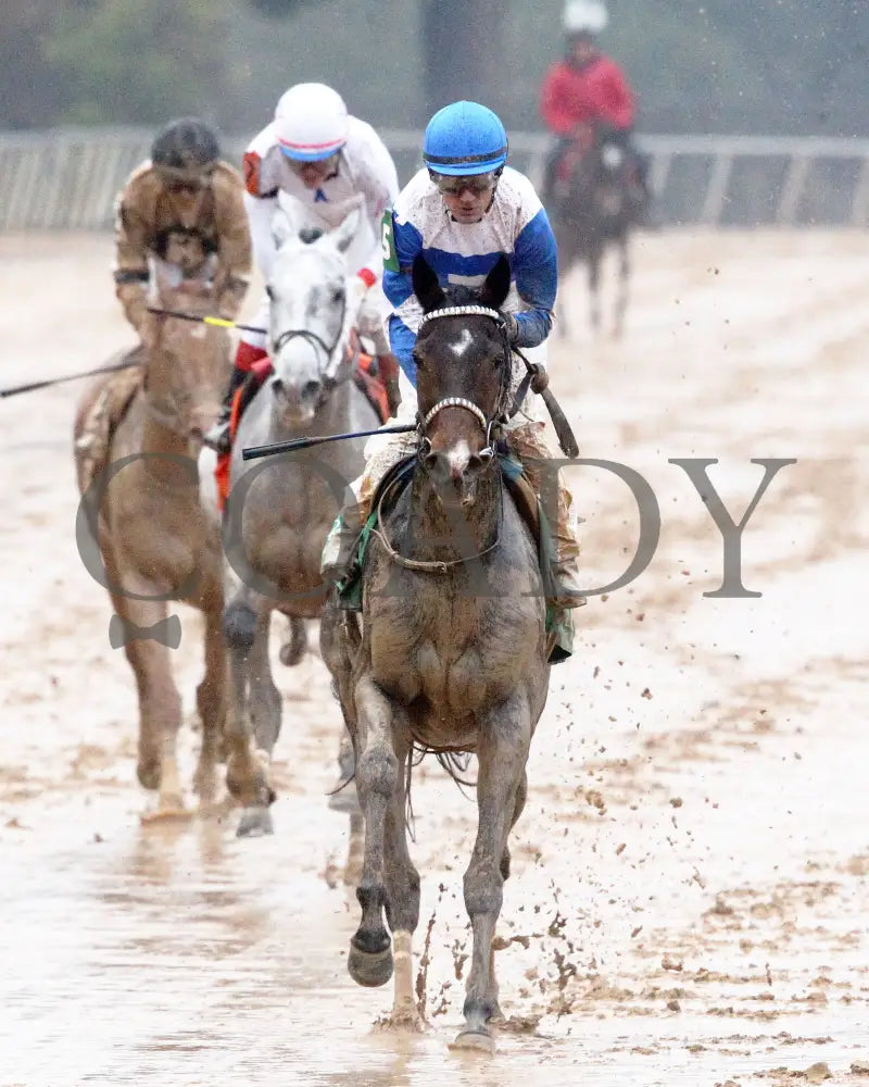 Corningstone - Mistletoe Stakes 12-14-24 R09 Op Gallop Out 02 Oaklawn Park