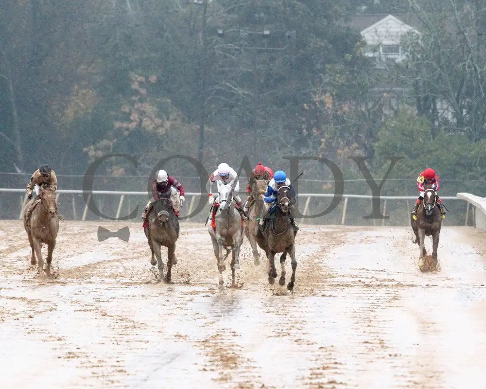 Corningstone - Mistletoe Stakes 12-14-24 R09 Op Head On 01 Oaklawn Park