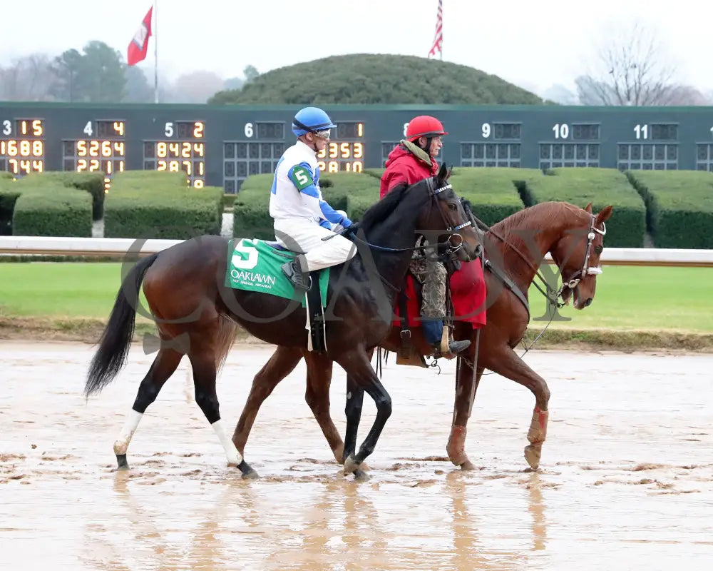 Corningstone - Mistletoe Stakes 12-14-24 R09 Op Post Parade 01 Oaklawn Park