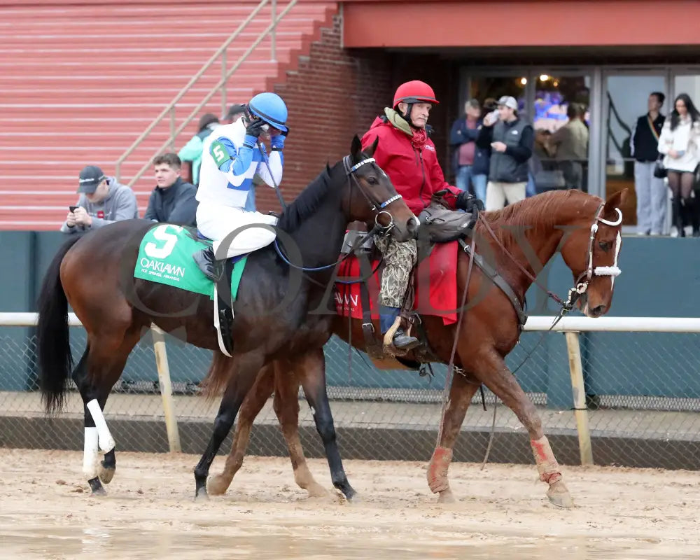 Corningstone - Mistletoe Stakes 12-14-24 R09 Op Post Parade 02 Oaklawn Park