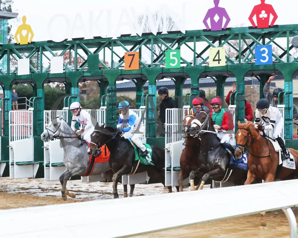 Corningstone - Mistletoe Stakes 12-14-24 R09 Op Start 01 Oaklawn Park