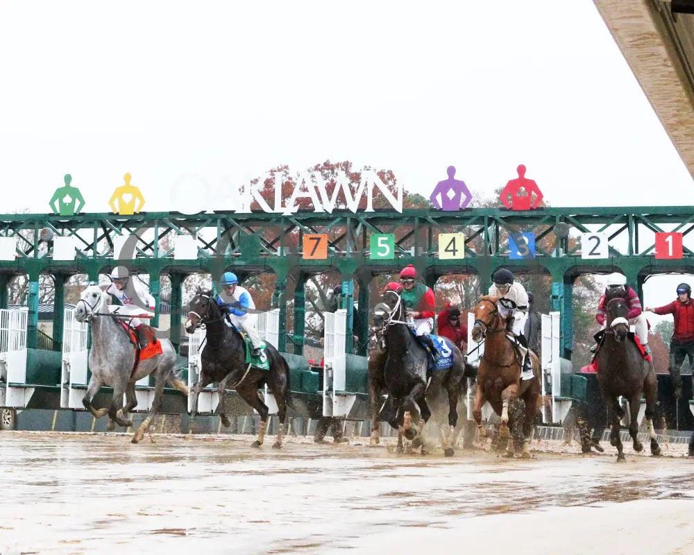 Corningstone - Mistletoe Stakes 12-14-24 R09 Op Start 02 Oaklawn Park