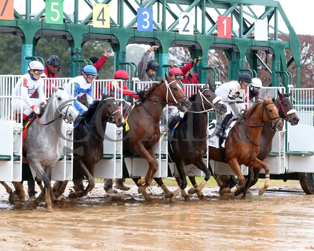 Corningstone - Mistletoe Stakes 12-14-24 R09 Op Start 03 Oaklawn Park