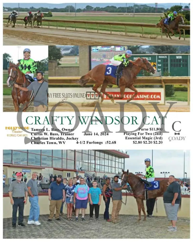 Crafty Windsor Cat - 06-14-24 R01 Ct Hollywood Casino At Charles Town Races