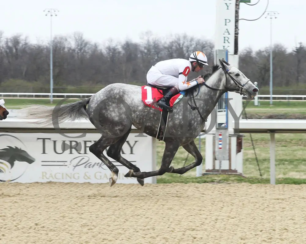 Crazy Beautiful - The Latonia Stakes 40Th Running 04-02-22 R07 Tp Finish 01 Turfway Park